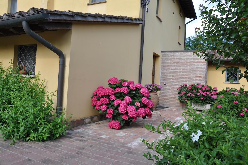 B&B Il Casolare Di Bonci Santa Maria a Monte ภายนอก รูปภาพ