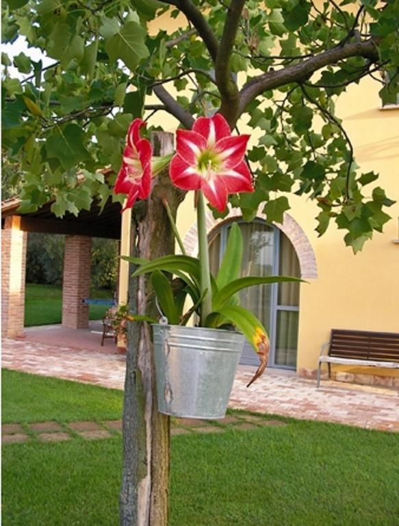 B&B Il Casolare Di Bonci Santa Maria a Monte ภายนอก รูปภาพ